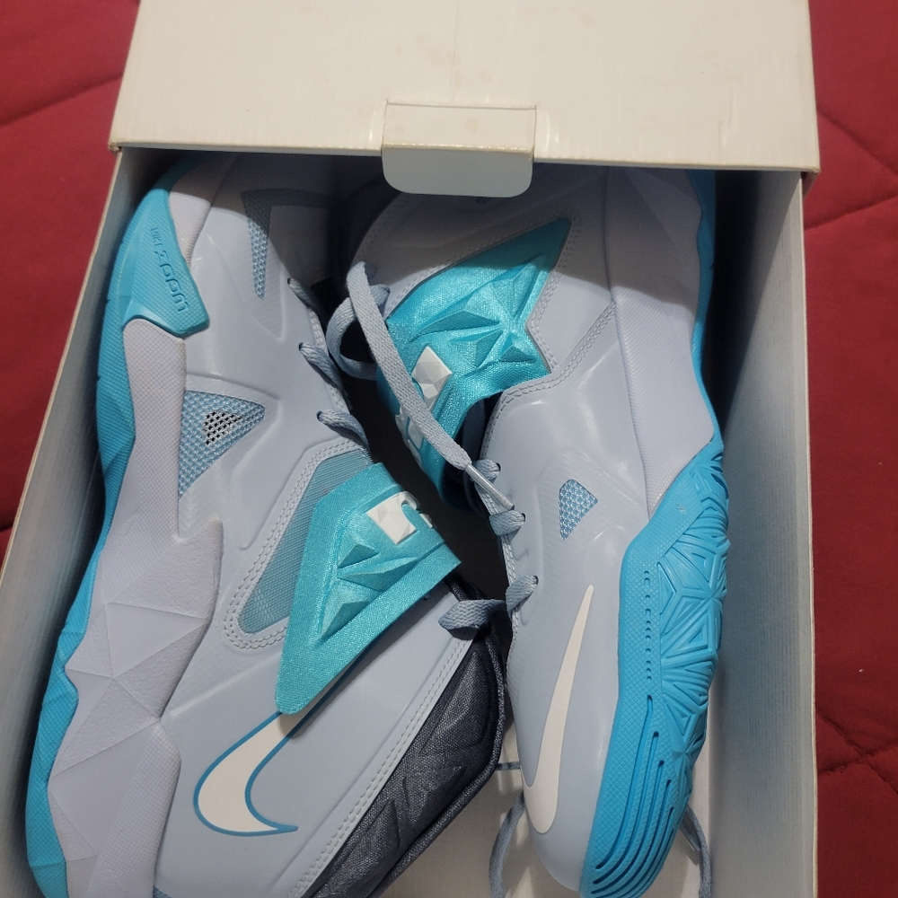 LeBron James Nike
